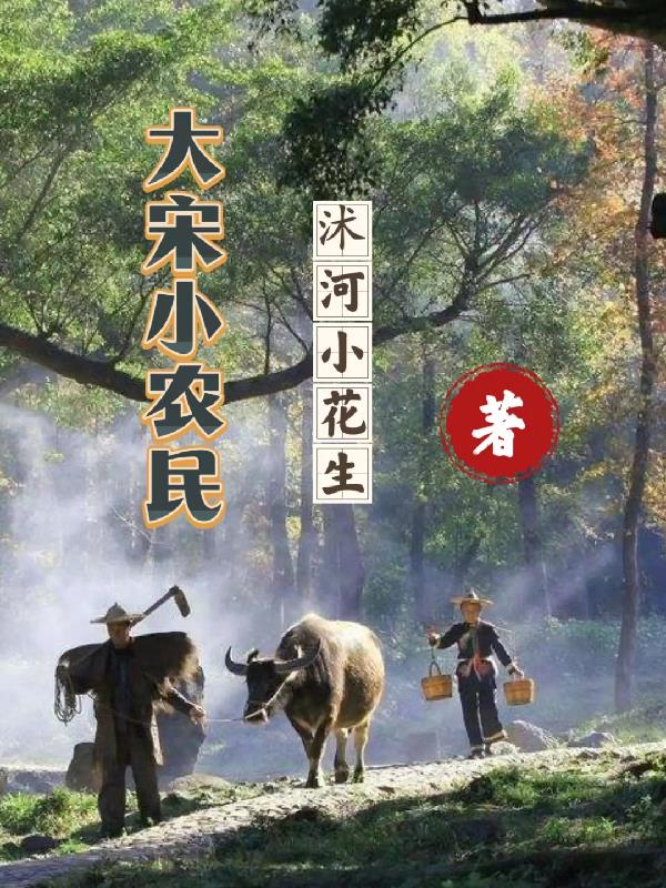 大宋小书童小说